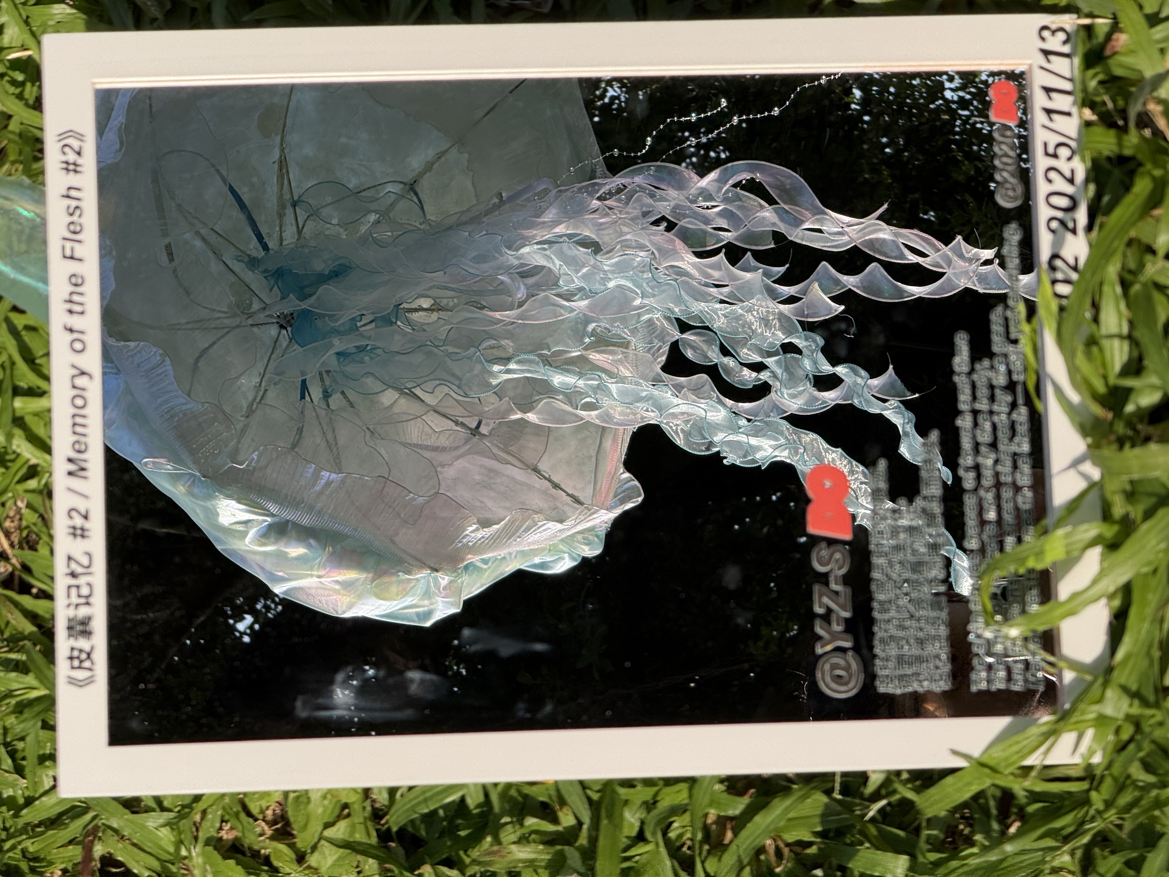 #02 水母装置